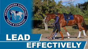 A person in riding gear leads a chestnut horse with a blue saddle outdoors, demonstrating natural horsemanship. On the left, a circular logo reads Groundwork Essentials Trust & Harmony. Bold text below says Lead Effectively.