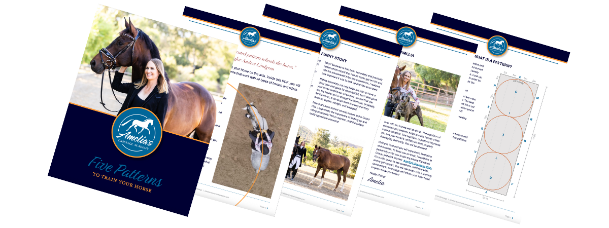 patterns and figures course for riders