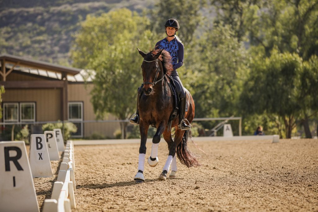 Amelia Newcomb schooling a dark bay horse in a dressage arena.