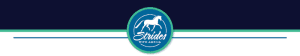 Amelia's Strides dressage lessons online