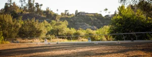 A sunlit outdoor equestrian arena with sandy ground, bordered by a white railing and dressage letter markers, invites riders to explore Strides with Amelia, surrounded by lush green trees and distant hills under a clear sky. 2026 enrollment open soon.