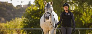 A smiling woman in equestrian gear practices groundwork as she walks alongside a white horse on a sunny day, with trees and greenery in the background.