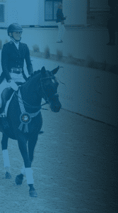 A rider in formal equestrian attire sits atop a dark horse wearing a blue ribbon on its bridle at an outdoor horse show event. Event signage and a banner for a Free Webinar on goal setting are visible in the background.