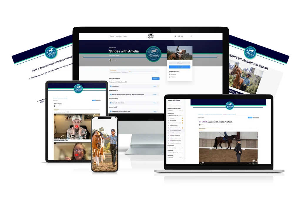 Mockup on multiple different device screens of the contents of Strides.