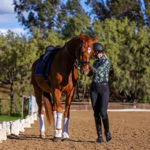 Amelia Newcomb executing a shoulder in from the ground with a chestnut dressage horse.