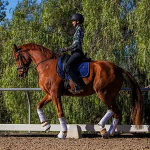 After photo of Amelia Newcomb executing a collected trot with a chestnut dressage horse.