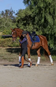 Amelia Newcomb practicing groundwork with her chestnut dressage horse.
