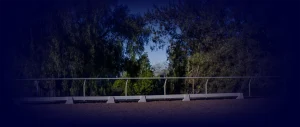 Sunlight shines through tall trees behind a white metal railing and sandy pathway, with the edges fading into a dark blue vignette—perfect inspiration for any Dev or Groundwork Masterclass session.