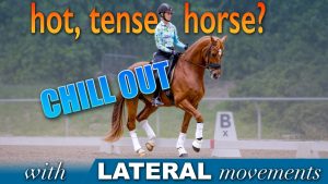 Hot, tense horse? Chill out with lateral movements.