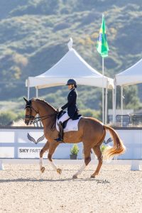 Amelia Newcomb riding Harvey in a dressage competition.