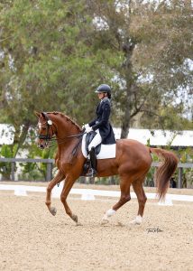 Amelia Newcomb performing a pirouette on her dressage horse.