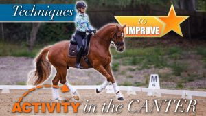 Amelia Newcomb riding a dressage horse in an active canter. Techniques to improve the activity in the canter.