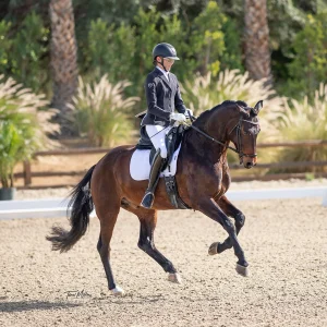 A rider in formal equestrian attire guides a bay horse through a Training Level dressage movement in an outdoor arena, with trees and tall grass providing a scenic backdrop.