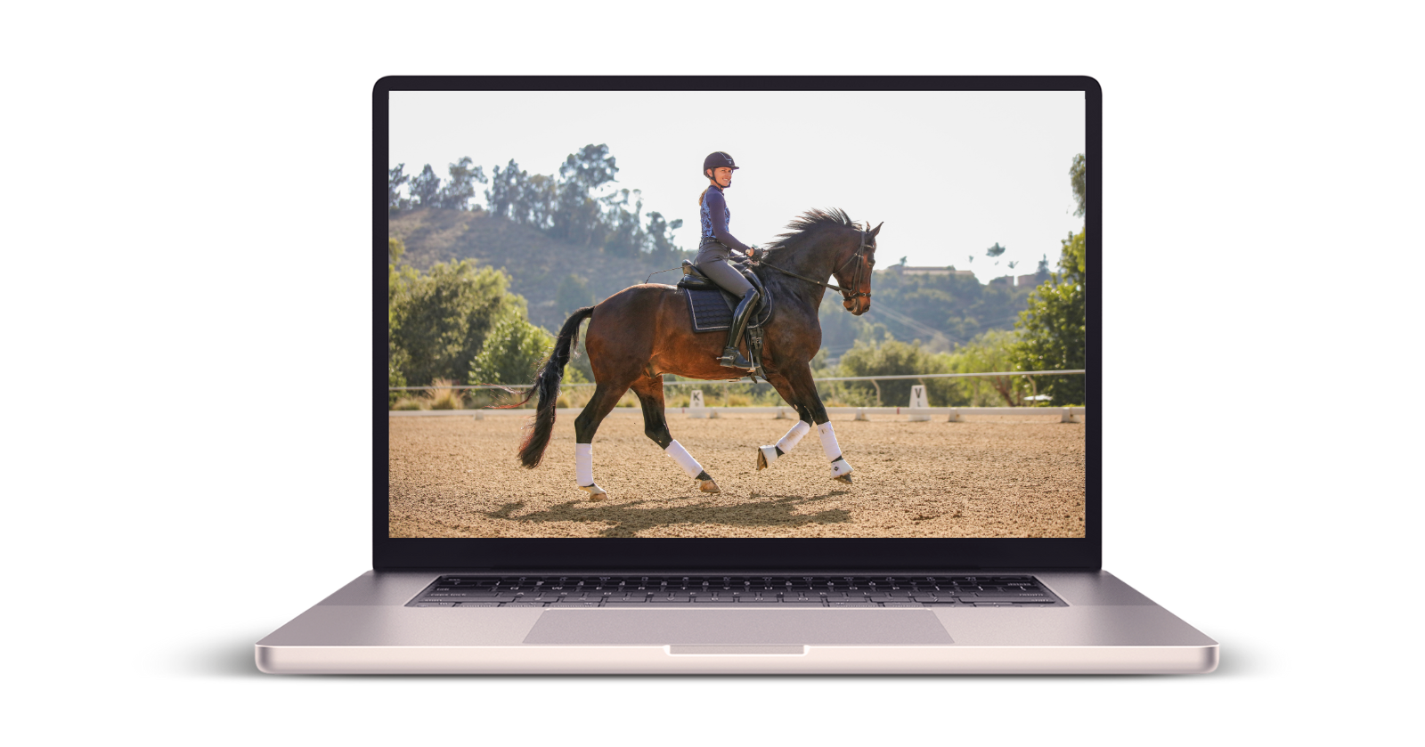 Dressage lesson focused on rider position and horse connection