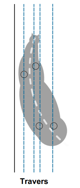 Diagram showing the footfalls of the horse in Travers.