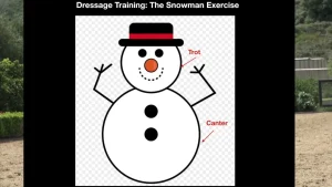 Image of a snowman with arrows depicting where to trot or canter when performing this exercise.
