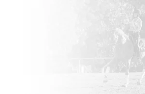 A person wearing a helmet rides a horse in an outdoor setting, perhaps practicing for a Sitting Trot Challenge. The image is faded and mostly white on the left side, with the rider and horse visible on the right, framed by trees.
