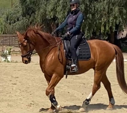 Heidi Bowers-Dutra