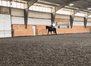 A person rides a black horse in an indoor arena with wooden walls and dirt flooring during a 5 Day Bootcamp. Orange cones are set up along the side, while the helmeted rider enjoys natural light streaming through upper windows.