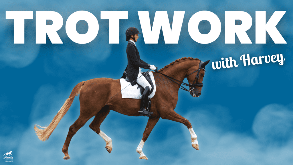 A rider in formal equestrian attire trots on a chestnut horse with a white saddle pad. Large white text reads Harvey's Trot Work and smaller text says trot training on a blue, cloud-like background.