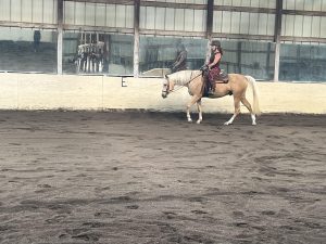 A person in a maroon outfit rides a light-colored horse inside an indoor arena with sandy ground and large glass windows—all part of the immersive 5 Day Riding Bootcamp experience.