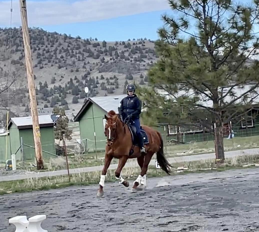A person wearing a helmet and riding gear is riding a brown horse in an outdoor arena. There are green buildings, a tree, and hills in the background under a partly cloudy sky.