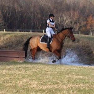 Amelia, wearing a helmet and riding gear, is riding a brown horse through shallow water on a grassy field, demonstrating her Rider Fitness with trees and a wooden fence in the background.