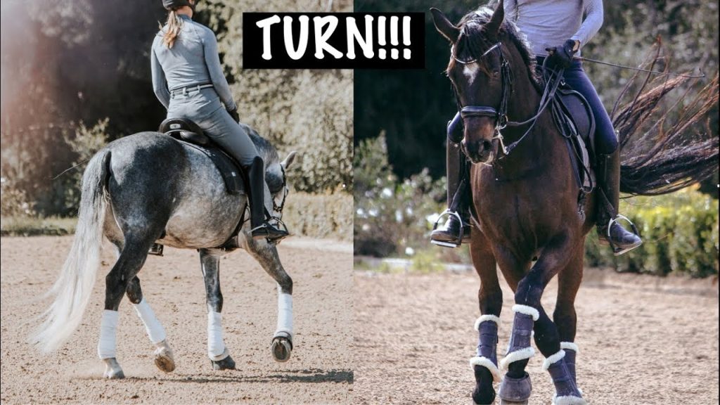 Two riders are each turning their horses in an arena. The left horse is grey and the right horse is dark brown. Both horses wear protective leg wraps and are ridden by people in helmets and riding gear. The word TURN!!! appears at the top.