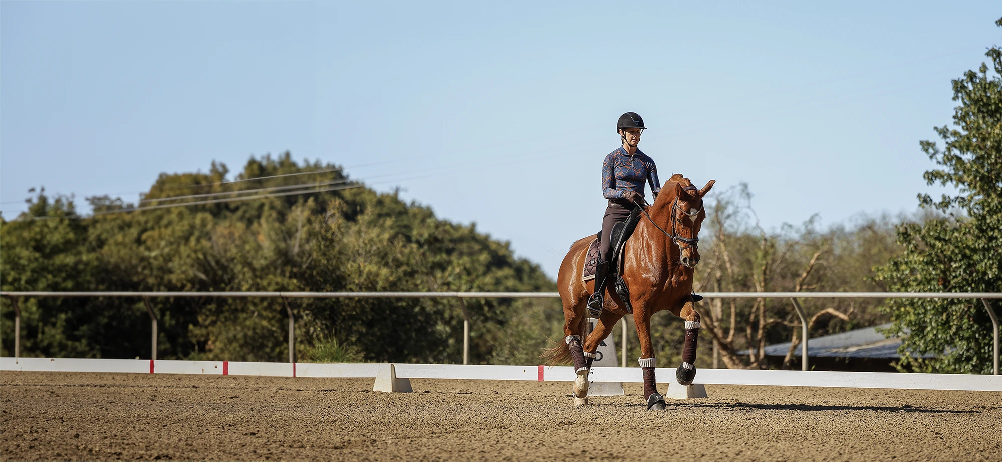 Amelia-Horse-Scale-14-1 A person wearing a helmet and riding gear is riding a chestnut horse in an outdoor arena, performing a dressage maneuver that showcases the 2024 Training Scale. Trees and a clear blue sky are in the background.