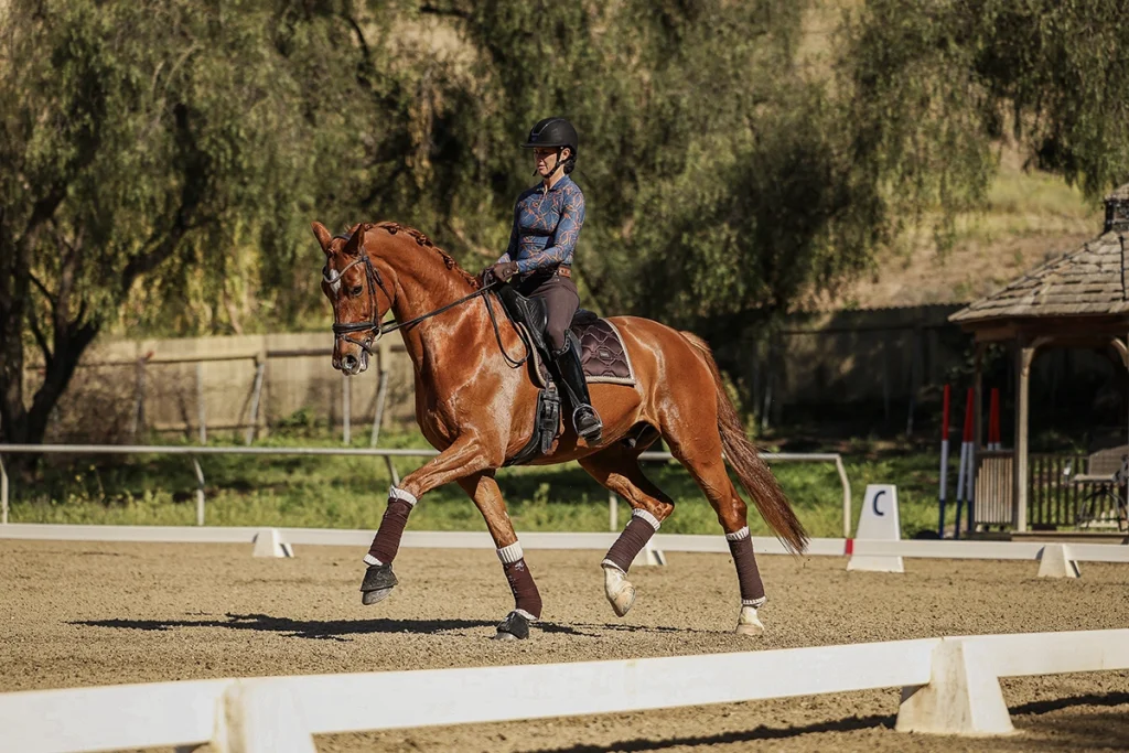 A person wearing a helmet and patterned shirt rides a chestnut horse with white markings in a sandy dressage arena, surrounded by trees and wooden fencing—showcasing the elegance of the Training Scale for 2024.
