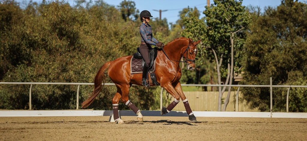 A person wearing a helmet and patterned shirt rides a chestnut horse in an outdoor arena, surrounded by trees and a fence, showcasing their 2024 Training Scale progress on a sunny day.