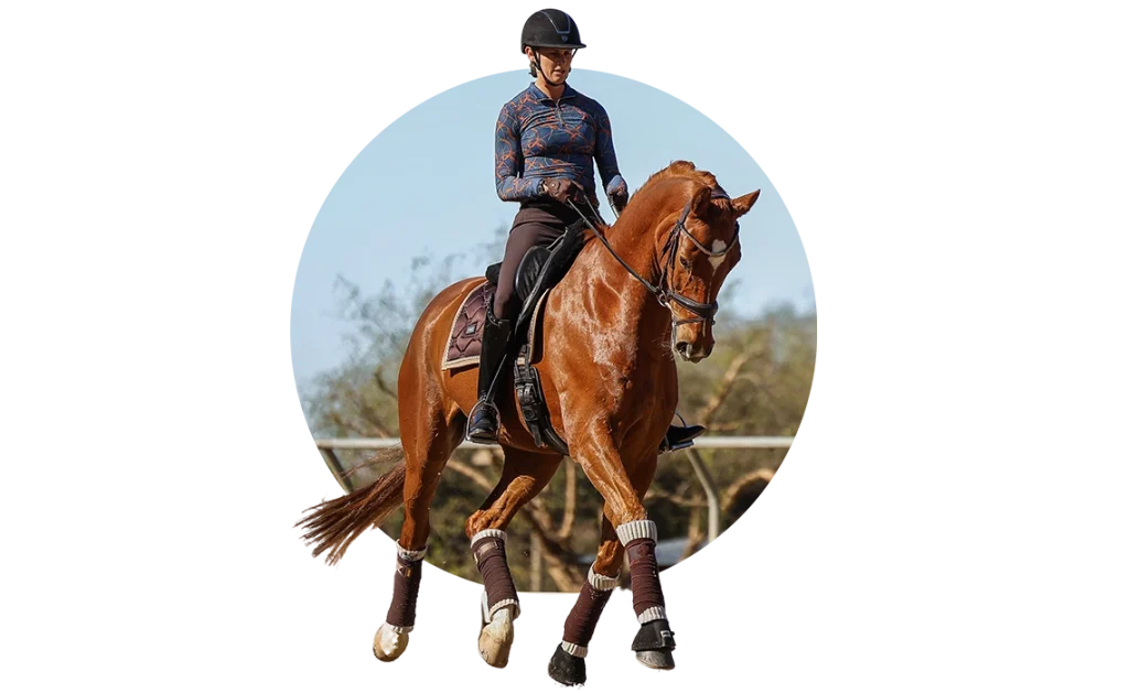 Rider improving dressage basics with a horse in the arena