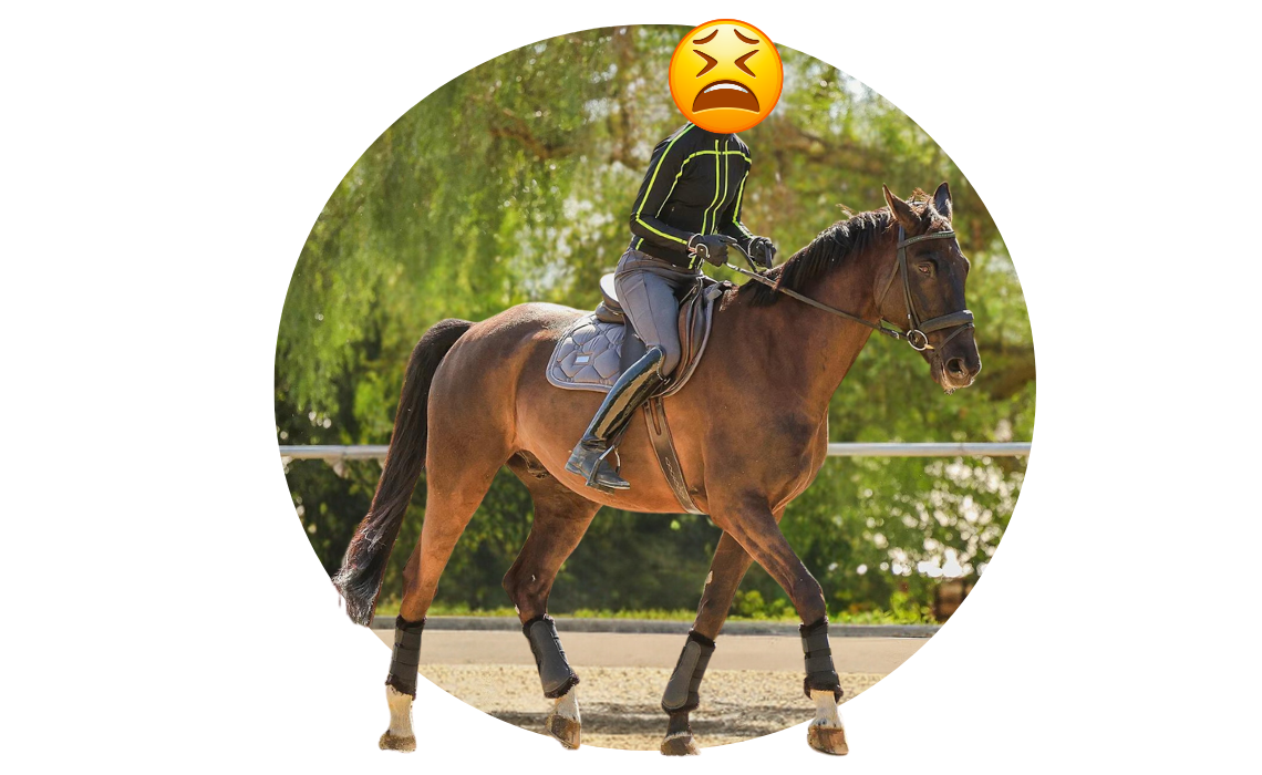 Rider improving dressage basics with a horse in the arena