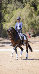 A person in riding gear and helmet is riding a dark brown horse in an outdoor arena, surrounded by trees and sunlight. The scene captures the focus often discussed in Rider Mindset webinars. The horse is wearing white leg wraps and a saddle pad.