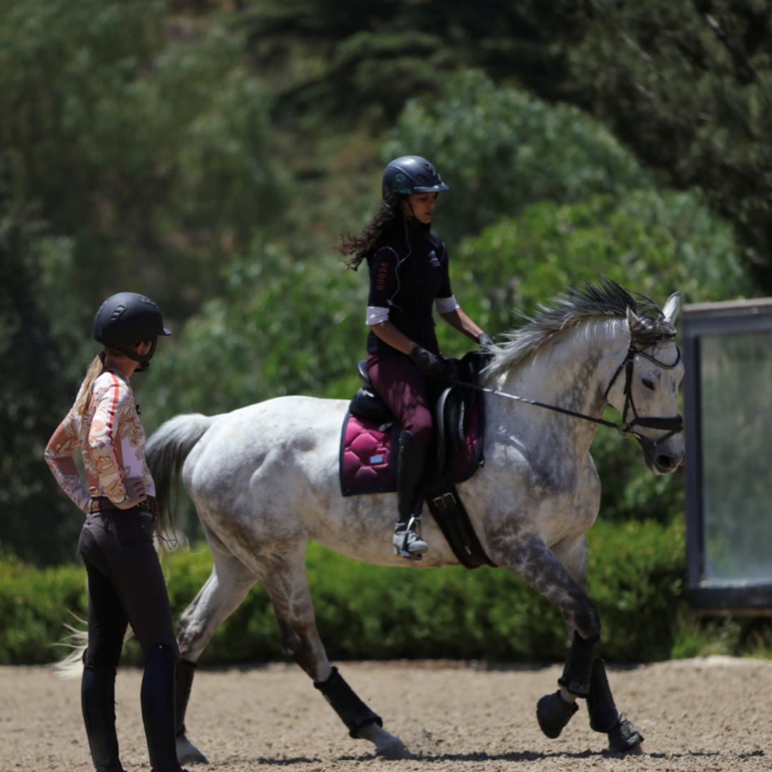 A person participates in a 2024 Training Scale Masterclass, riding a dapple gray horse in an outdoor arena. Both rider and observer wear helmets, with lush greenery providing a scenic backdrop.