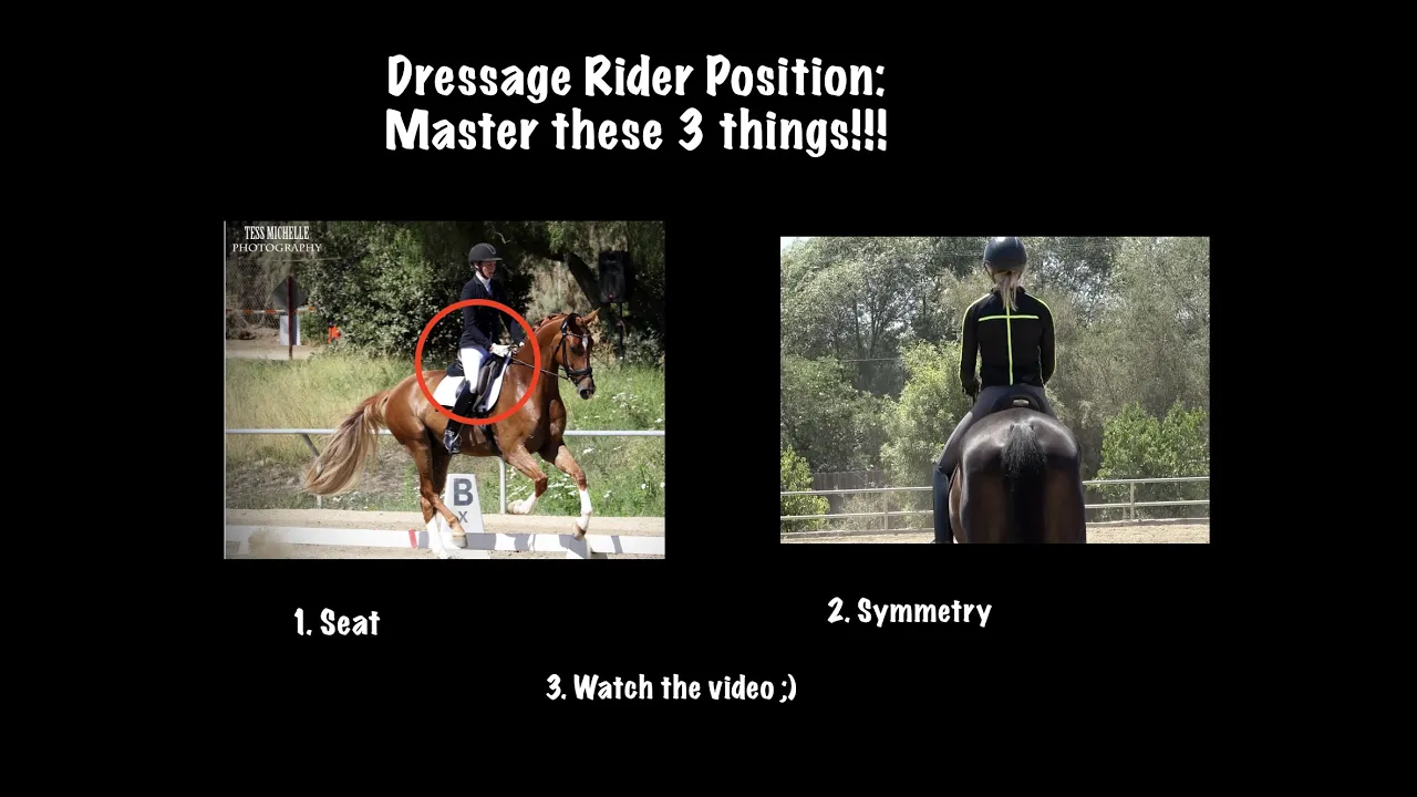 dressage rider position