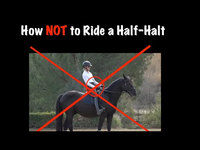 how not to ride a half halt
