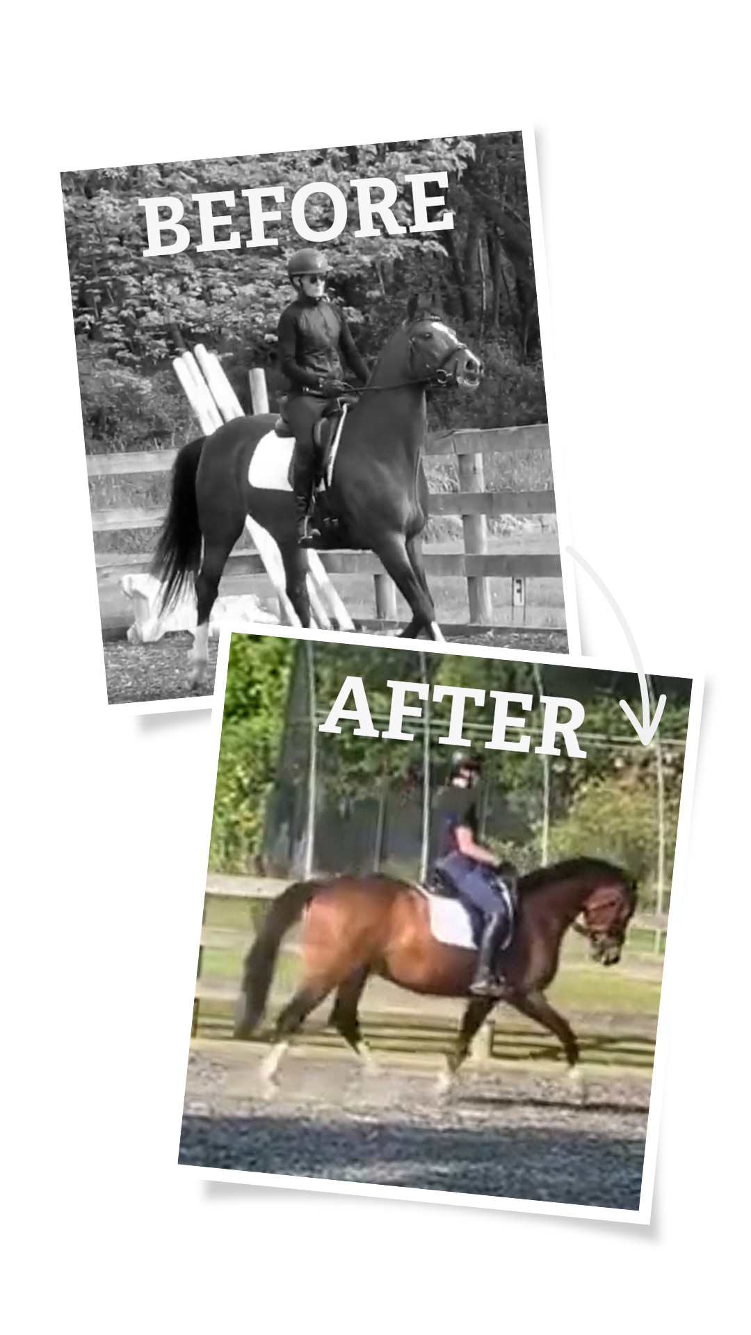 Two photos show a rider on a horse. The top, black-and-white image labeled BEFORE shows the horse walking. The bottom, color image labeled AFTER captures progress from the 30 Days to Round program, with the horse trotting in improved posture.