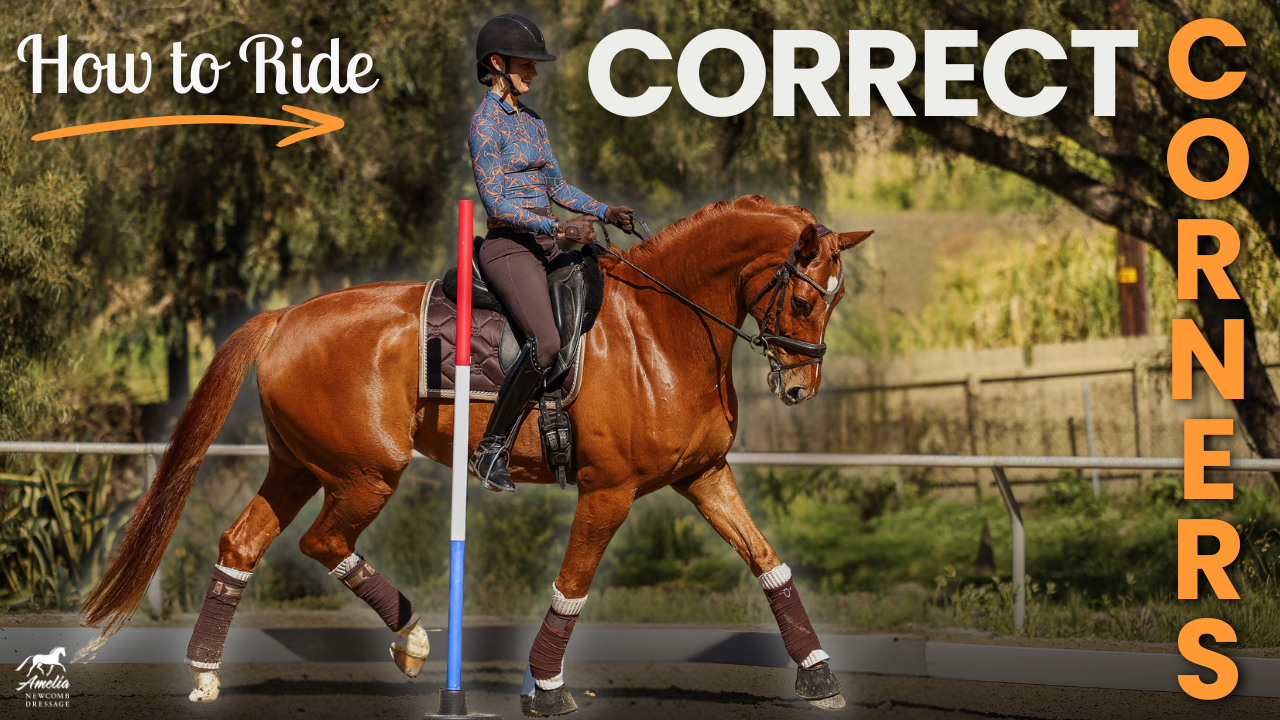 A rider in a helmet and patterned shirt guides a chestnut horse around a corner in an arena, demonstrating expert cornering techniques. Text on the image reads, How to Ride Correct Corners.