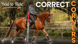 A rider in a helmet and patterned shirt guides a chestnut horse around an arena corner, showcasing expert riding corners technique. Text reads How to Ride CORRECT CORNERS stacked vertically on the right, with trees and a fence in the background.