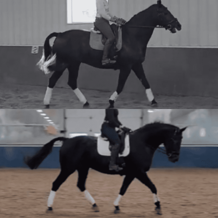 Deanne Vertical