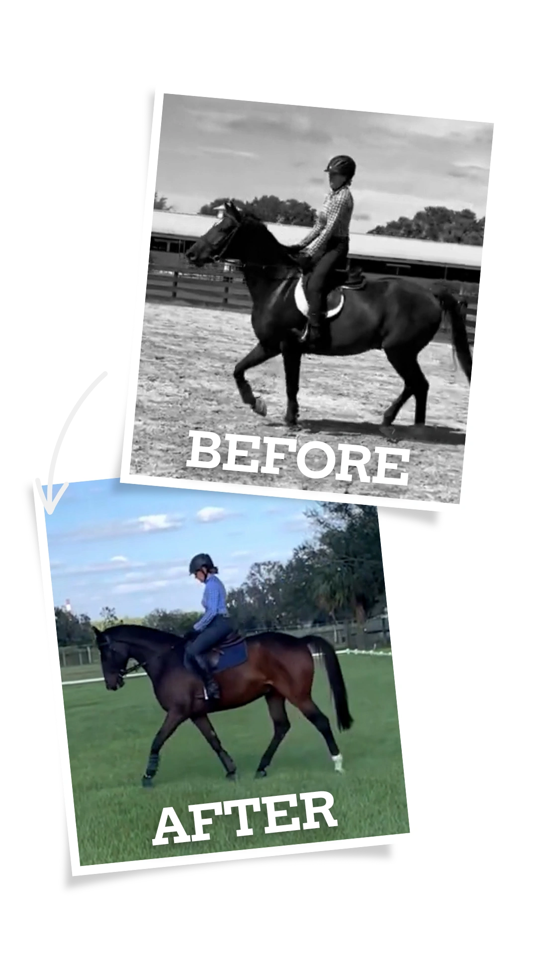 Two photos show a rider and horse during the 30 Days to Round 2024 challenge. The top black-and-white "BEFORE" image shows tension, while the bottom color "AFTER" image captures a relaxed pair on green grass.