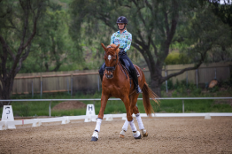 A person in a helmet and colorful shirt rides a chestnut horse in a dressage arena, practicing leg yields among white markers and letters on the sandy ground, with trees in the background.