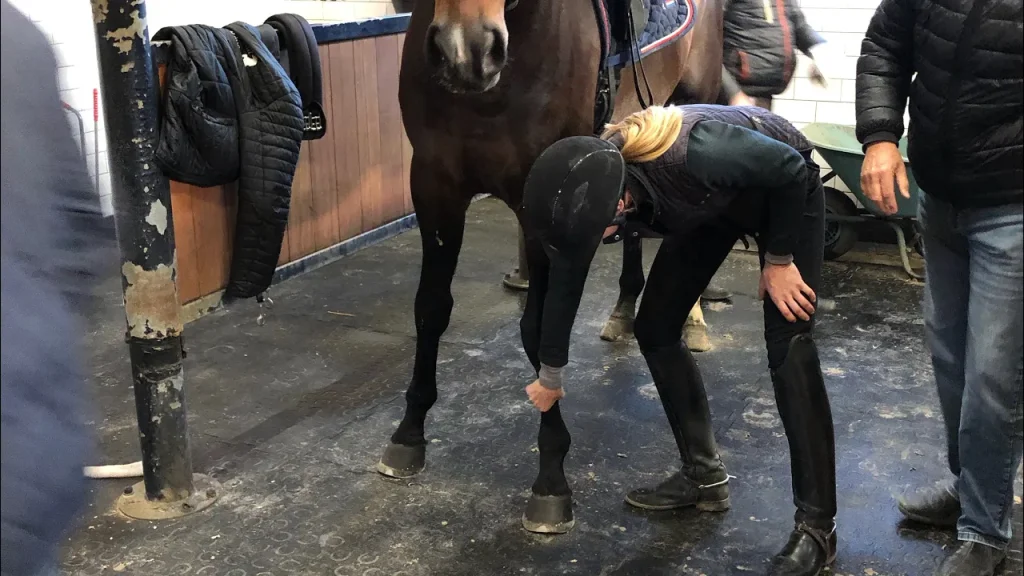A person in riding gear examines a good horse’s front leg in a stable, with a few people and coats visible in the background—perhaps part of the horse buying process or helping someone find a horse.