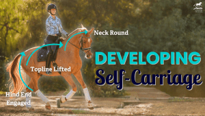 A rider demonstrates Self-Carriage during horse training on a chestnut horse. Arrows highlight the round neck, lifted topline, and engaged hind end. Text reads: Developing Self-Carriage. Sunlight filters through trees in the background.