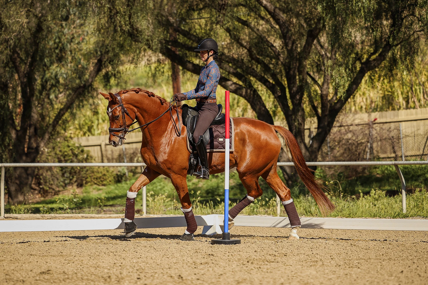 A person in riding gear guides a chestnut horse through a sandy dressage arena, passing a colored pole with trees and a fence visible in the background.