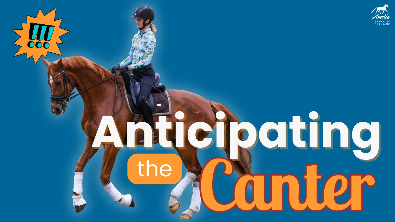 A person riding a chestnut horse in an English saddle, with the text “Anticipating the Canter” on a blue background. An orange icon with exclamation marks highlights how horses anticipate the canter.