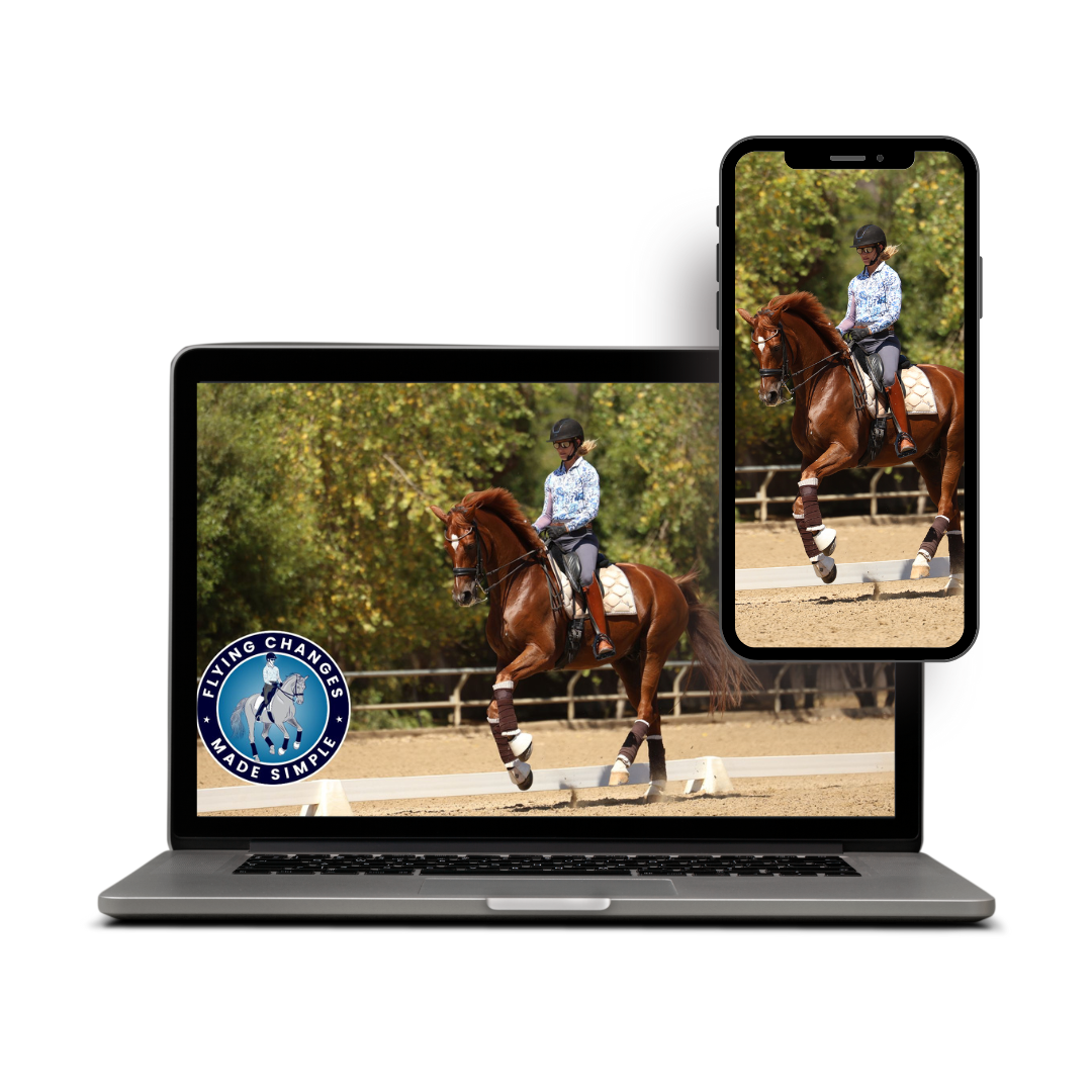 Training a brown horse in an outdoor arena to do dressage on multiple platforms