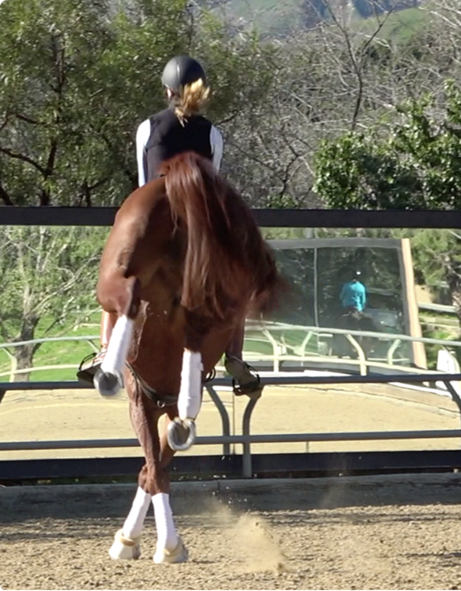 A person wearing a helmet rides a brown horse performing flying changes in an outdoor sandy arena, with trees and a fence in the background.