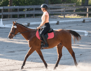 A person wearing a helmet, boots, and an orange shirt rides a brown horse with a pink saddle pad in an outdoor riding arena with a wooden fence—perfect for mastering skills before your Groundwork Webinar.